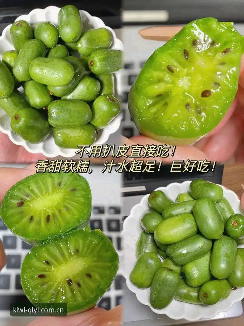 资深用户分享奇异果体育平台实操经验，从下载到登录一步到位