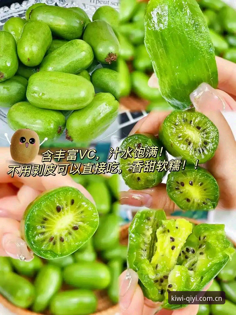 奇异果体育平台怎么样 奇异果体育平台实用知识:从功能体验到数据细节的深度解析